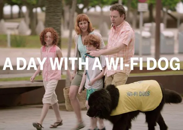 La clave para que tus próximas vacaciones sean extra divertidas... ¡los perros WiFi!