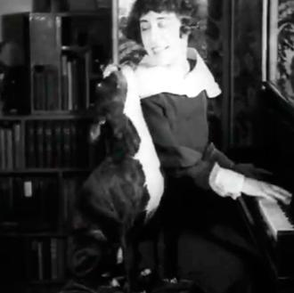 El original y genuino perro cantante: un vídeo de la …