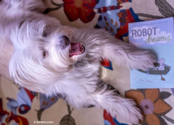 En SrPerro somos team #RobotDreams, ¡cruzando las patas para que Dog gane el Oscar!