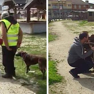 El momento en que una perra reconoce a su humano …