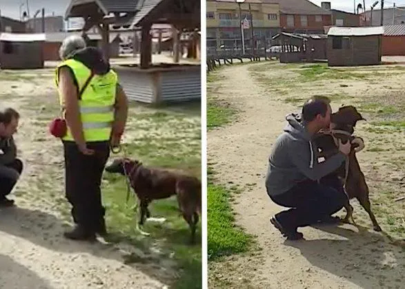 El momento en que una perra reconoce a su humano tras dos años separados