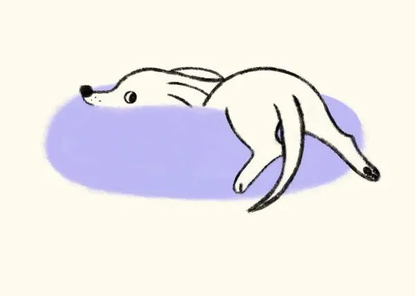 Los tiernos y terapéuticos retratos de una ilustradora y su perro, Elaine S. Choi y su alma gemela, Harvey