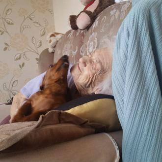 Una anciana con alzheimer vuelve a disfrutar y olvida sus …