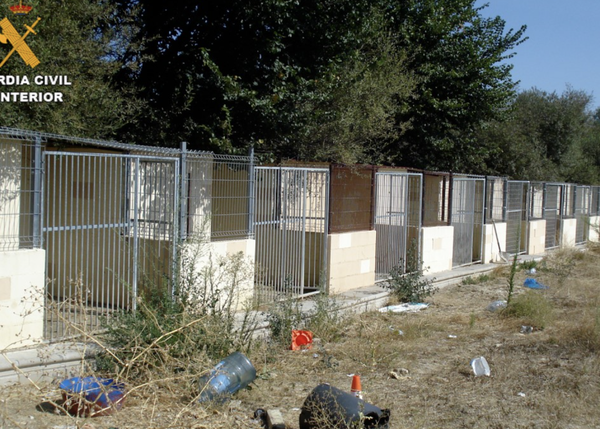 Dos detenidos por la muerte y maltrato de varios perros en una residencia canina en Madrid