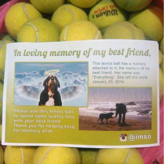 100 pelotas de tenis: un homenaje perruno, un homenaje para …
