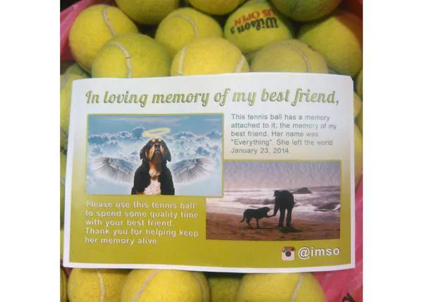100 pelotas de tenis: un homenaje perruno, un homenaje para contagiar felicidad y buenos momentos