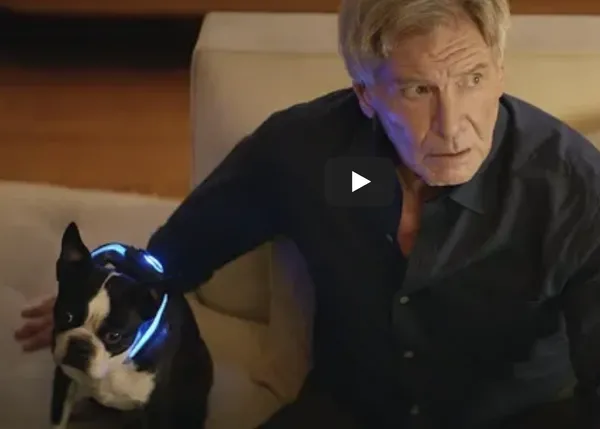 Los problemillas de Harrison Ford y su perro consumista, un Boston Terrier imparable