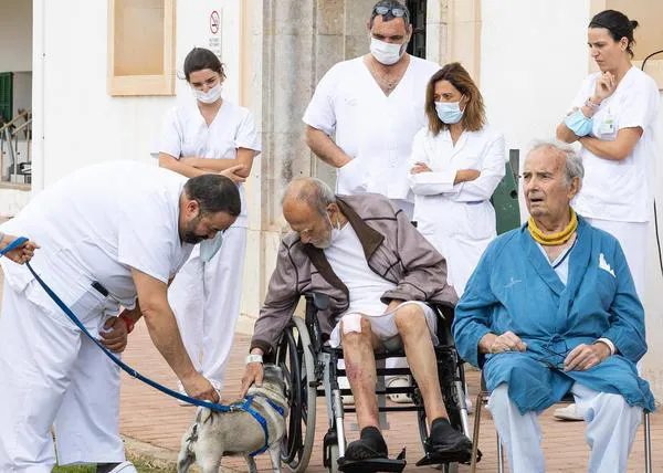 Una nueva guía veterinaria facilita el proceso por el que los perros pueden visitar a sus humanos en el hospital