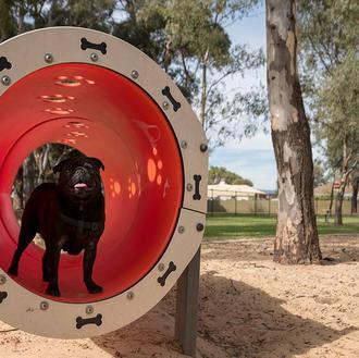 Un parque canino ofrece consejos didácticos y visuales para humanos …