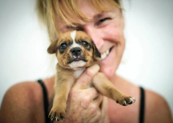 Las vacaciones que se transformaron en una nueva misión vital: ayudar a los perros en Isla Mujeres, México