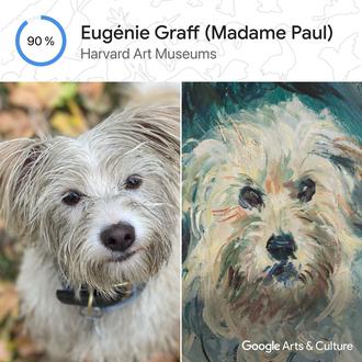 Google Pet Portraits, la app gratuita que busca dobles de …