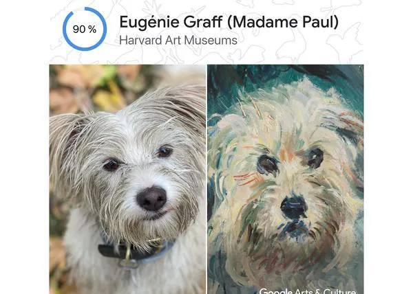 Google Pet Portraits, la app gratuita que busca dobles de tu perro entre miles de obras de arte