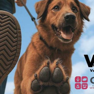 Nuevas concentraciones de veterinarios contra la normativa de prescripción de …