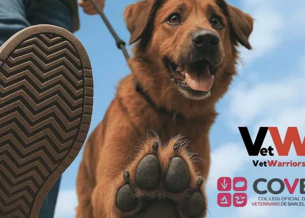 Nuevas concentraciones de veterinarios contra la normativa de prescripción de medicamentos: el 7 de mayo en Madrid, el 10, en Barcelona