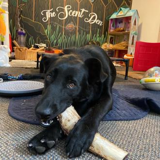 El cuarto de los olores: un pequeño e interesante paraíso …