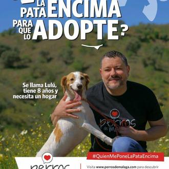  “¿Quién me pone la pata encima para que lo adopte …