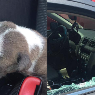 Un policía rescata a un cachorrito que habían dejado dentro …
