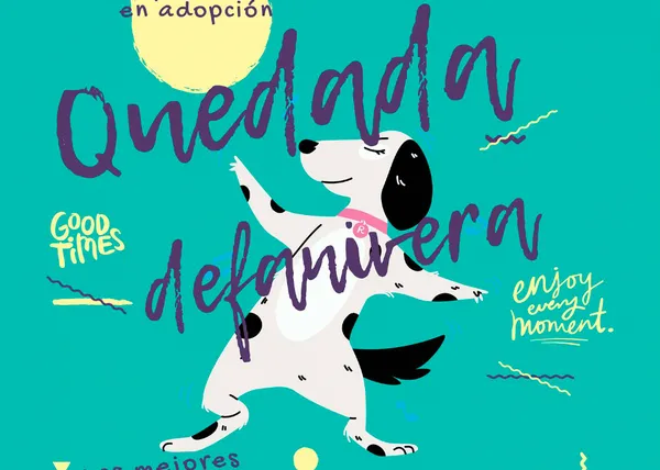 Planes solidarios para el finde del 18 y 19 de septiembre: mercadillos, desfiles perrunos, rifas, recogida de firmas...