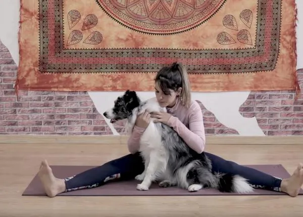 Relajándose con perro: el 