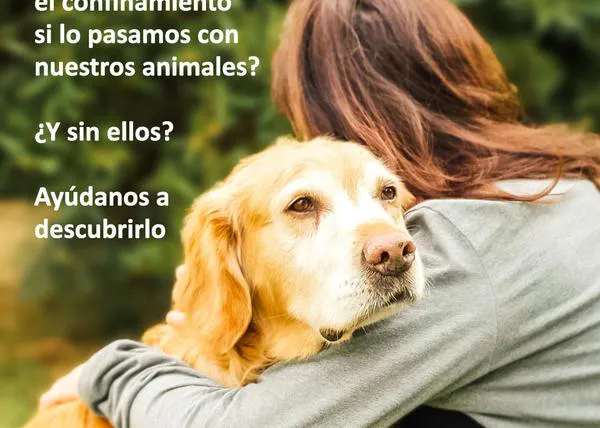 Fundación Acavall investiga el impacto del confinamiento con o sin animales ¿queréis ayudar?