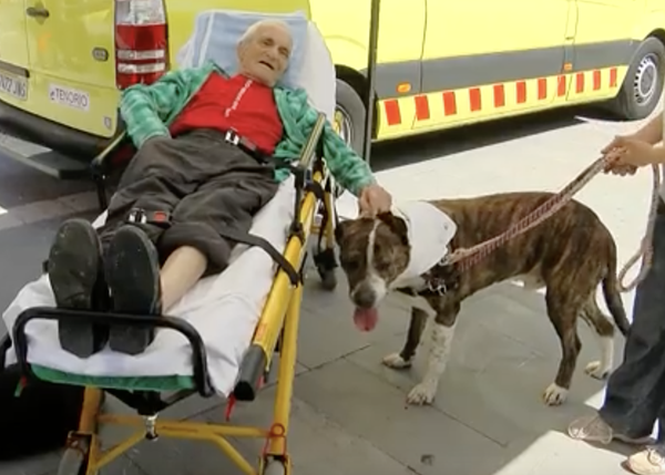 Santiago, el anciano enfermo de cáncer, se reencuentra con sus cuatro canes: tres aún esperan encontrar hogar
