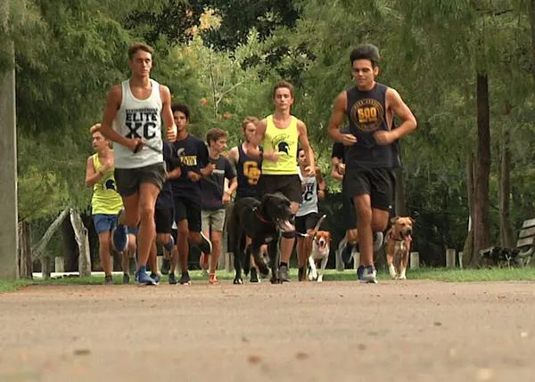 Estudiantes de instituto corren con perros de una protectora durante sus vacaciones
