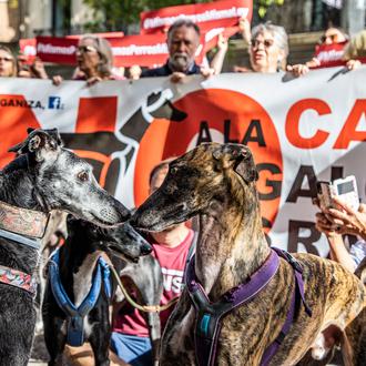 #MismosPerrosMismaLey: miles de personas en toda España salen a la …