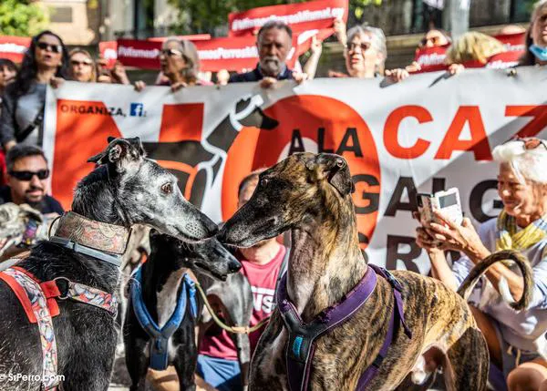 #MismosPerrosMismaLey: miles de personas en toda España salen a la calle por la protección de todos los canes