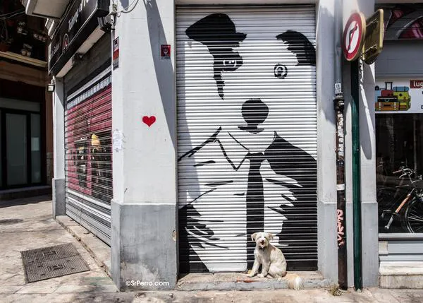 La Comunidad Valenciana estudia implantar un seguro veterinario que garantice la salud de perros y gatos