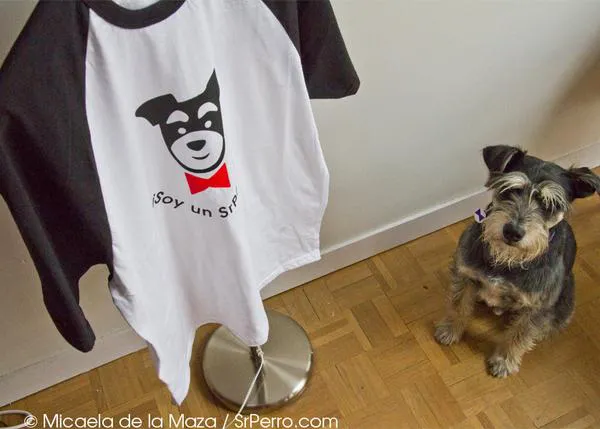 ¿Quieres una camiseta SrPerro? Participa en nuestra primera ginkana perruna