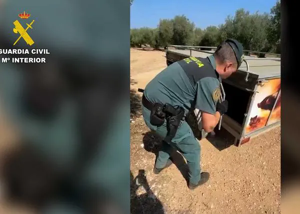 Tres perros de una rehala muertos, otros 14 en estado deplorable: nuevo 