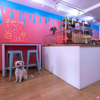 Del desayuno a la merienda: 10 cafés dog friendly en …