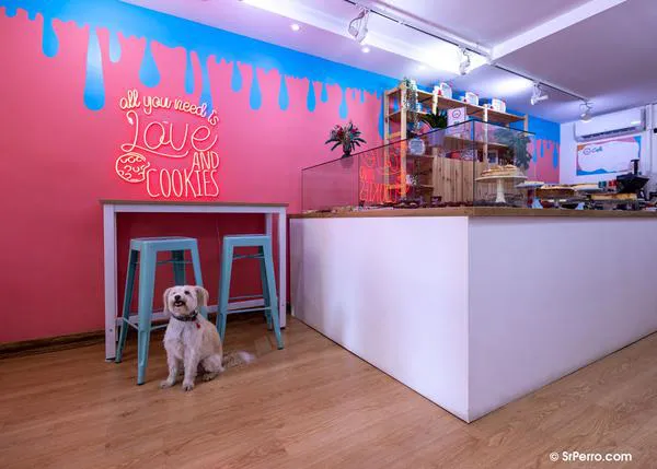 Del desayuno a la merienda: 10 cafés dog friendly en los que endulzarte el día junto a tu perro, desde Barcelona a Vigo