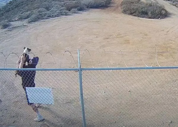Captan el brutal abandono de un perro al que tiraron por encima de una alambrada