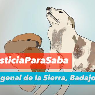 Casi 40.000 personas piden que se investigue la muerte …