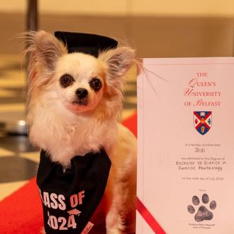 25 perros, gatos e incluso un hámster enano se gradúan …