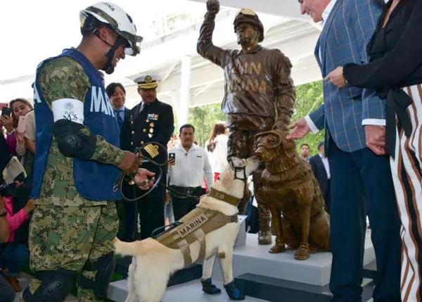 Rinden homenaje con una estatua a Frida, la perra rescatista mexicana