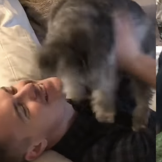 Posiblemente, el mejor momento del día para cualquier humano perruno