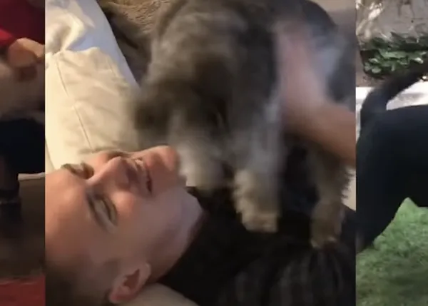 Posiblemente, el mejor momento del día para cualquier humano perruno