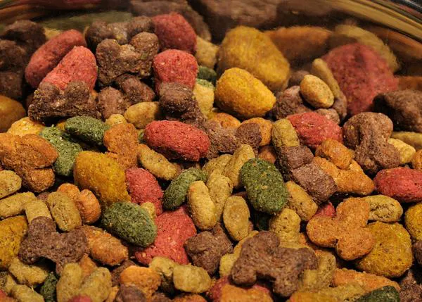 Más de 300 perros afectados, 74 muertos debido a una cardiomiopatía posiblemente causada por la dieta