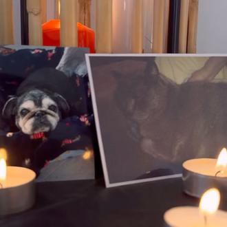 El precioso homenaje de la Protectora de Melilla a los …