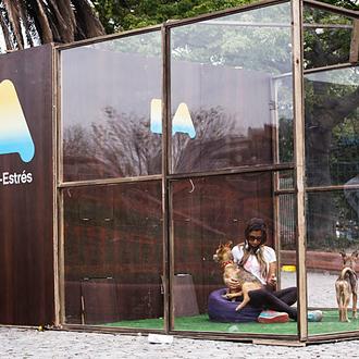 Cabinas Anti-Estrés con cachorritos o pequeños mininos: una (polémica) iniciativa …