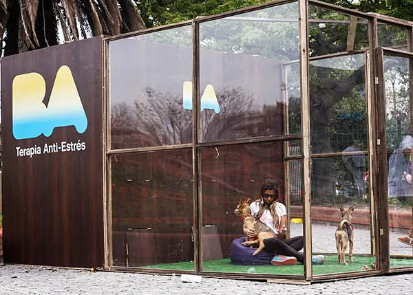 Cabinas Anti-Estrés con cachorritos o pequeños mininos: una (polémica) iniciativa para fomentar la adopción