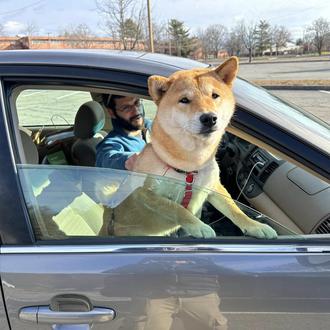 Un perro perdido salvado gracias a un dron: ¡su correa …