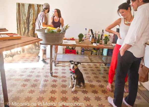 Moda, mojitos y mucho más, con perro: Summer Days en The Fly Room
