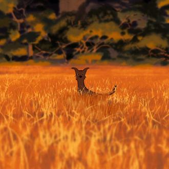 Adam and Dog: un corto sobre la eterna amistad entre …