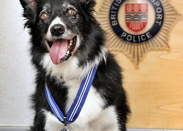 Un perro detector de explosivos galardonado por su labor tras el atentado del Manchester Arena