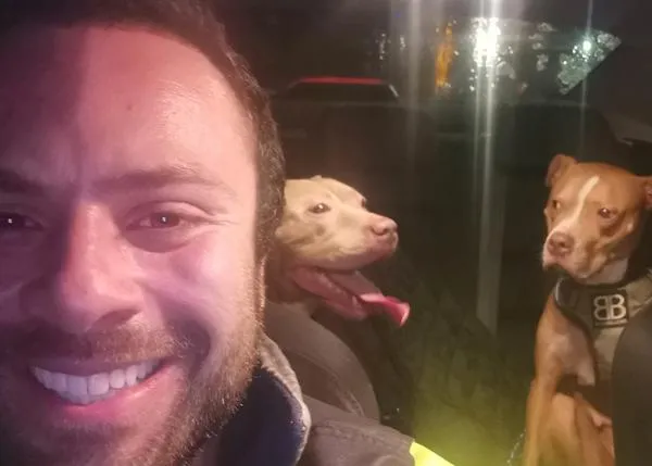 Traslados a Escocia, movilizaciones legales y activismo en redes ante el drama de los perros Bully XL en el Reino Unido
