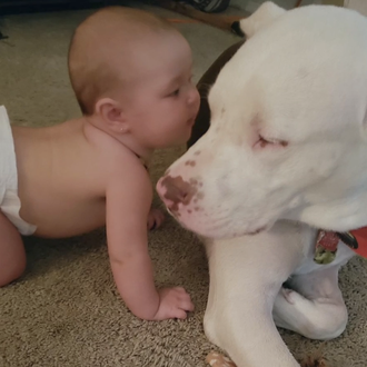 El perro abandonado y recién adoptado que salvó la vida …