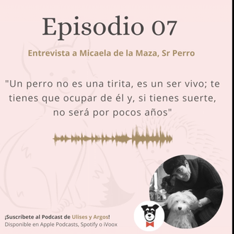 Charlando de perros urbanos y de perros en espacios públicos …
